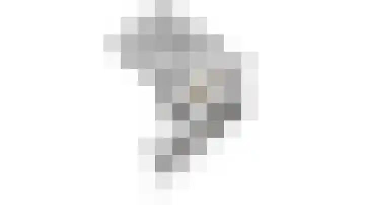 Scheldelaan 24 Hoeven thumbnail 32