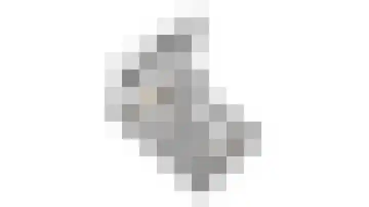 Scheldelaan 24 Hoeven thumbnail 33