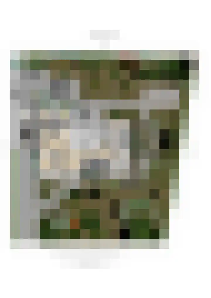Scheldelaan 24 Hoeven thumbnail 37