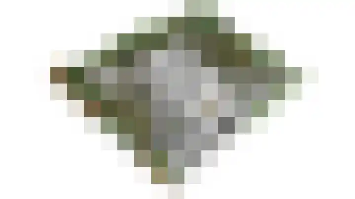 Scheldelaan 24 Hoeven thumbnail 38