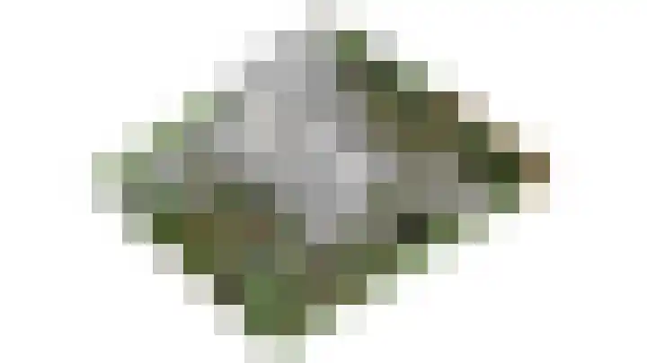 Scheldelaan 24 Hoeven thumbnail 39