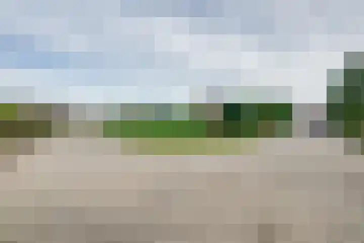 Scheldelaan 24 Hoeven thumbnail 4