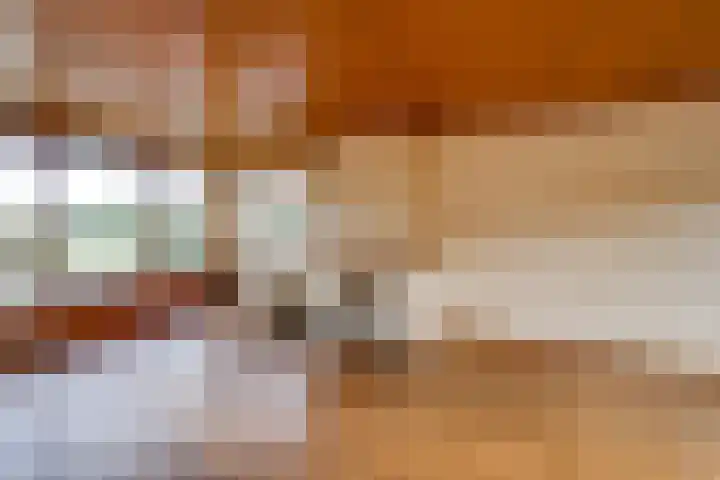 Scheldelaan 24 Hoeven thumbnail 8