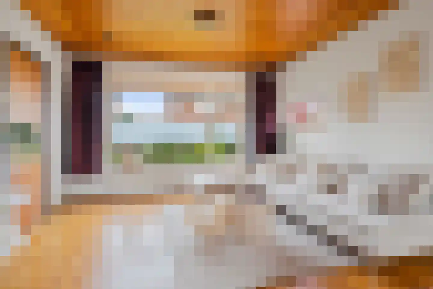 Scheldelaan 31 Hoeven thumbnail 13