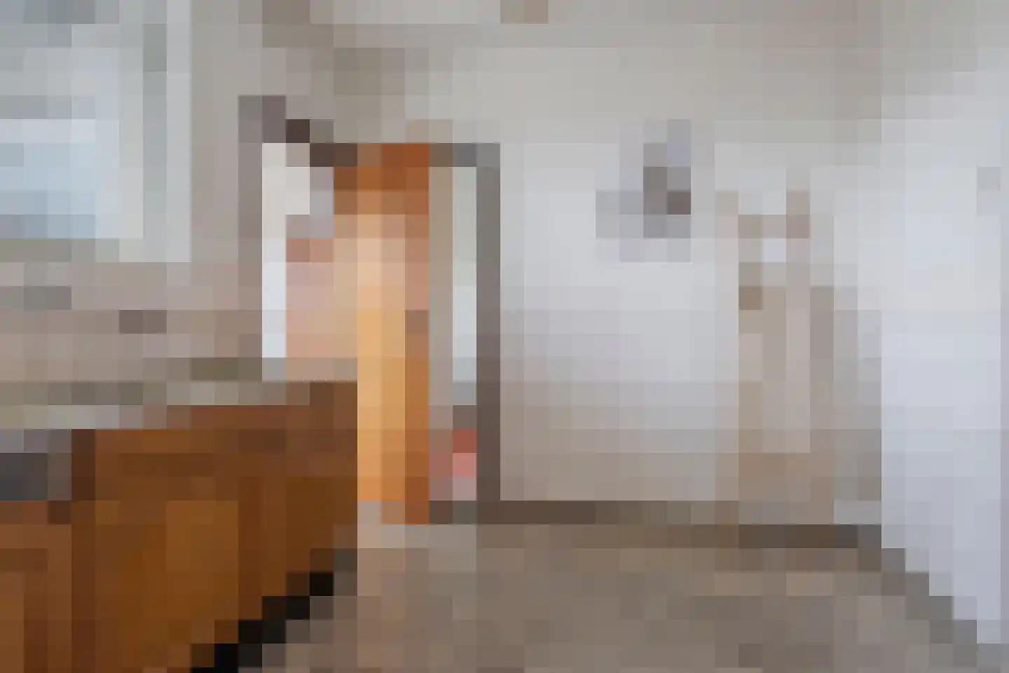 Scheldelaan 31 Hoeven thumbnail 14