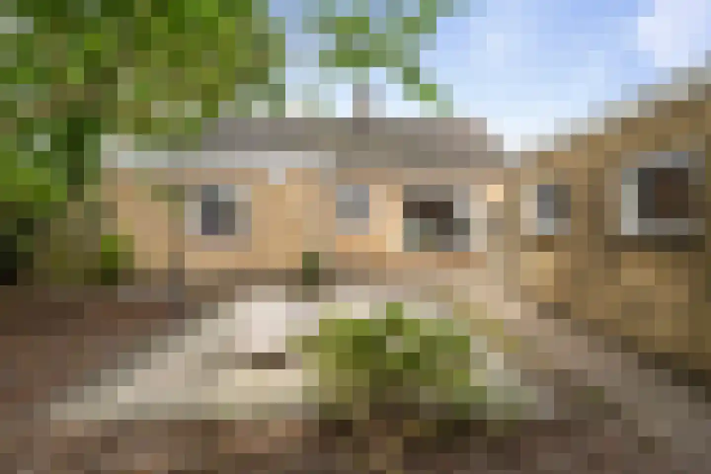 Scheldelaan 31 Hoeven thumbnail 35