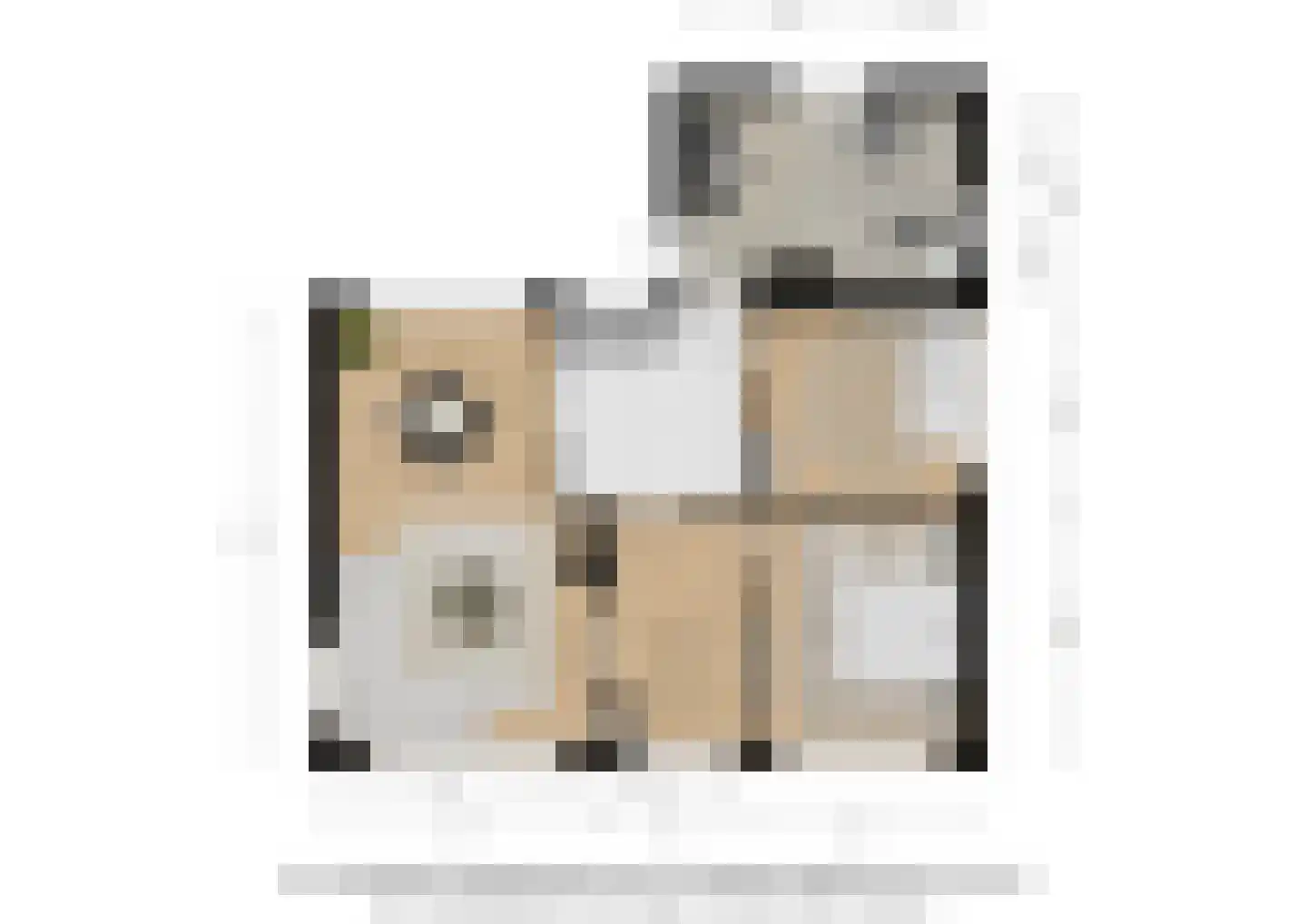 Scheldelaan 31 Hoeven thumbnail 44