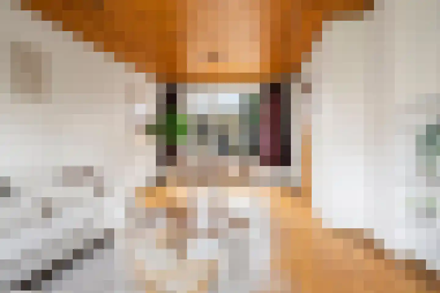 Scheldelaan 31 Hoeven thumbnail 5