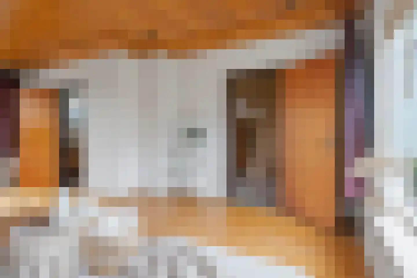 Scheldelaan 31 Hoeven thumbnail 7