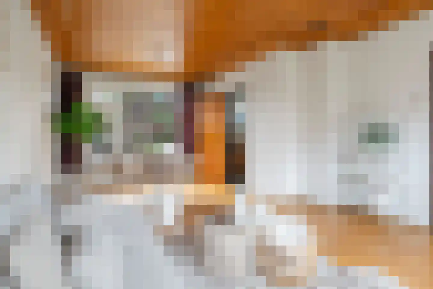 Scheldelaan 31 Hoeven thumbnail 8