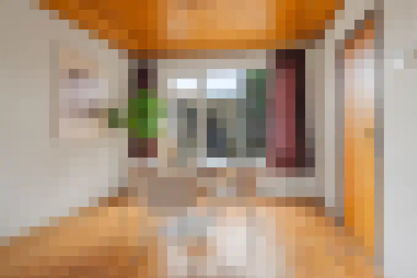 Scheldelaan 31 Hoeven thumbnail 9