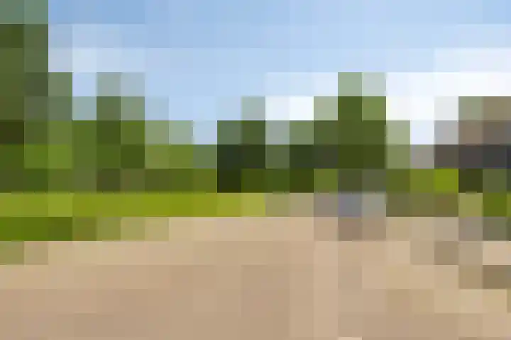 Scheldelaan 45 Bergen op Zoom thumbnail 30
