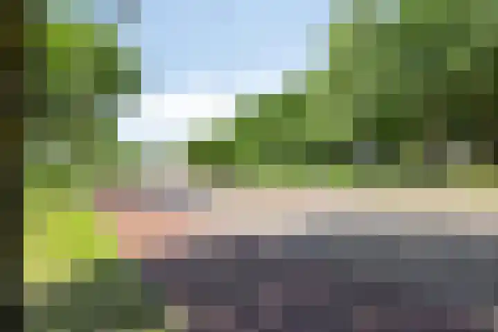 Scheldelaan 45 Bergen op Zoom thumbnail 31