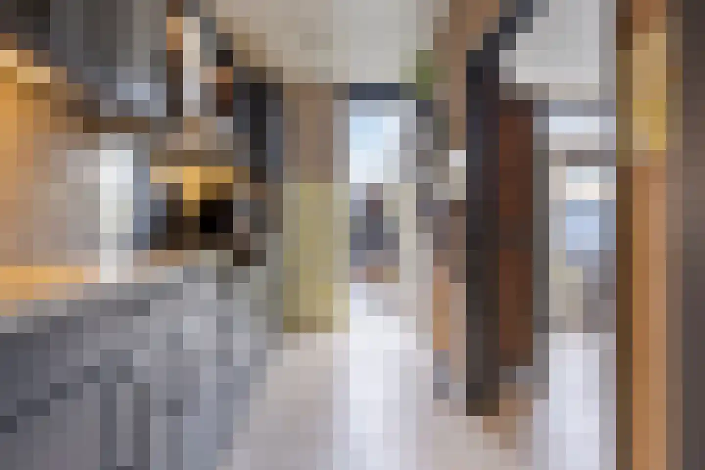 Scheldeplein 21 Ridderkerk thumbnail 14