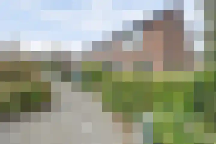 Scheldeplein 38 Ridderkerk foto 2