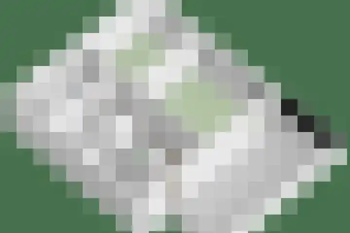 Scheldeplein 38 Ridderkerk thumbnail 26