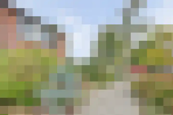 Scheldeplein 38 Ridderkerk foto 3