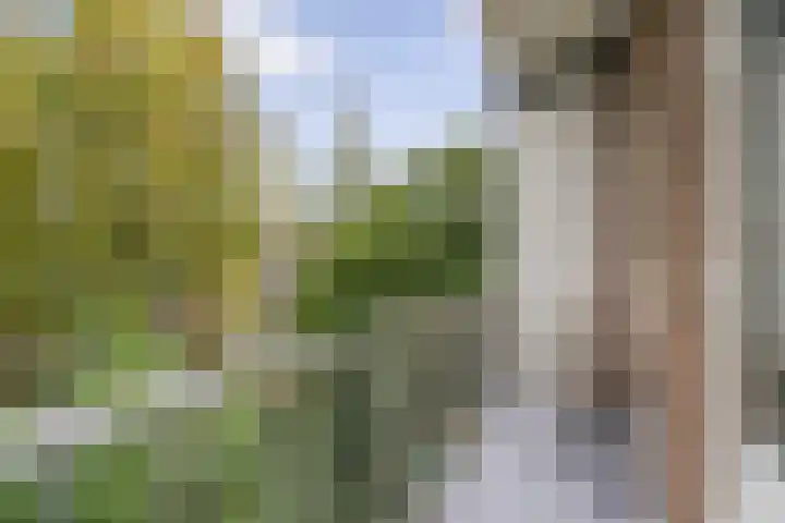 Scheldeplein 38 Ridderkerk thumbnail 46