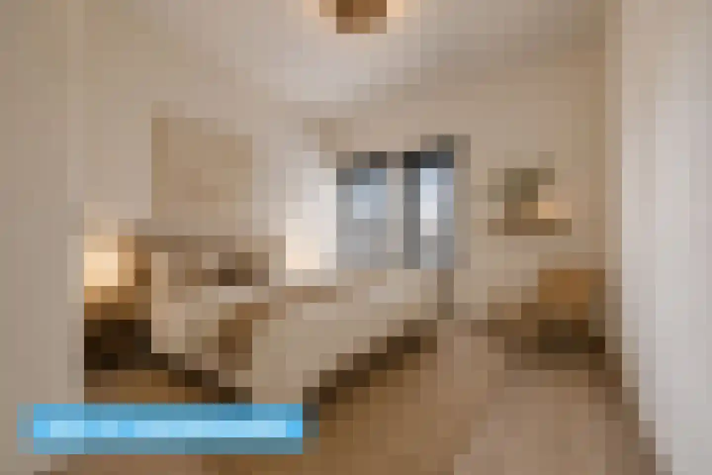 Scheldeplein 4 Den Haag thumbnail 12