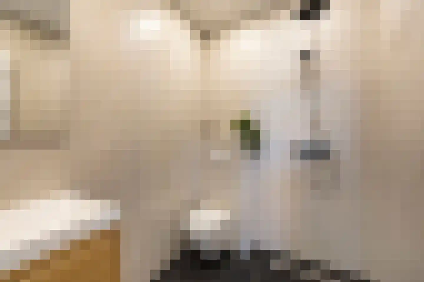Scheldeplein 4 Den Haag thumbnail 13