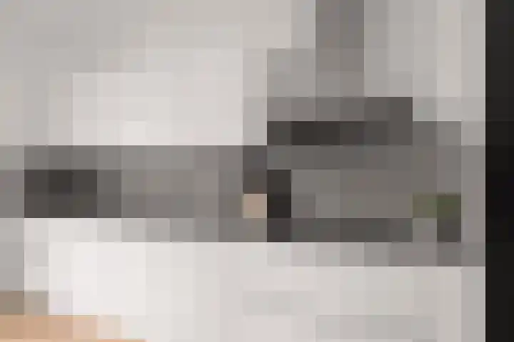 Scheldepolder 4 Houten thumbnail 12