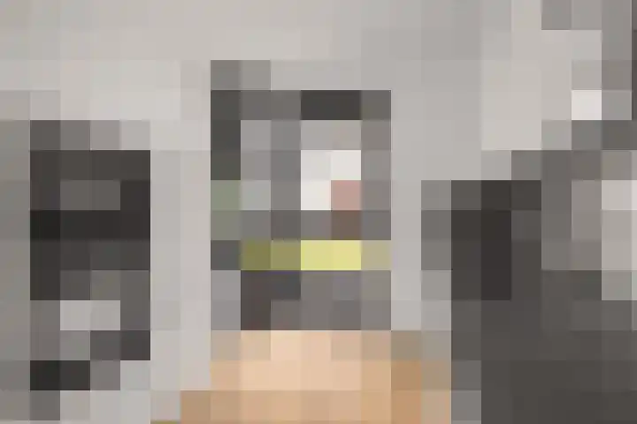 Scheldepolder 4 Houten thumbnail 13