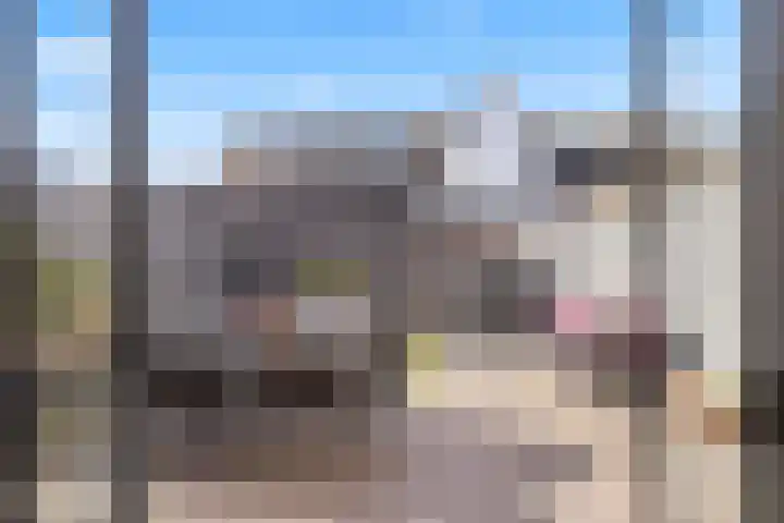 Scheldepolder 4 Houten thumbnail 16