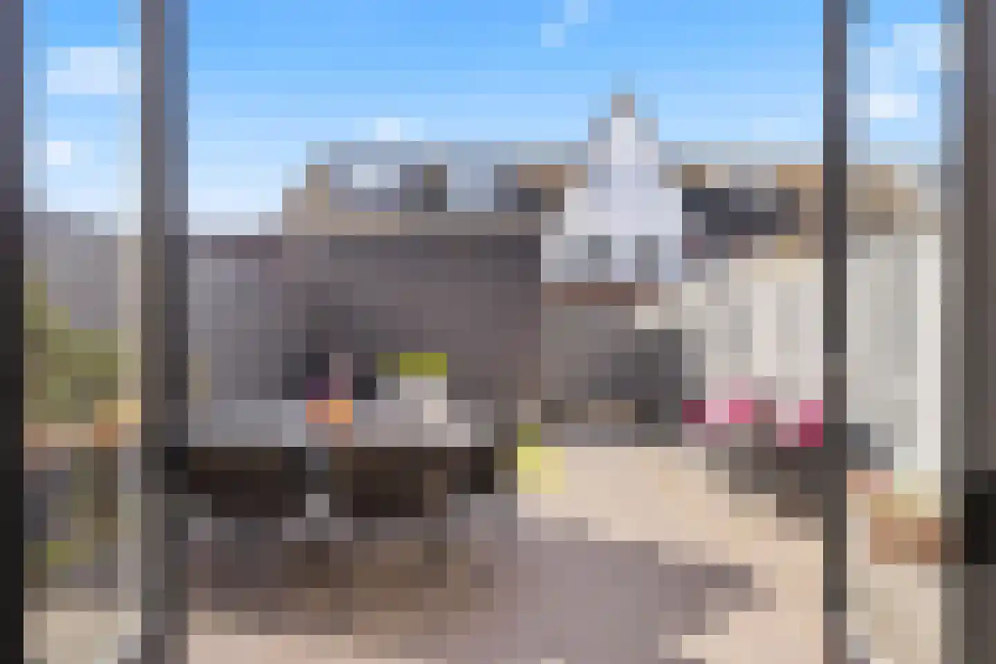 Scheldepolder 4 Houten thumbnail 16