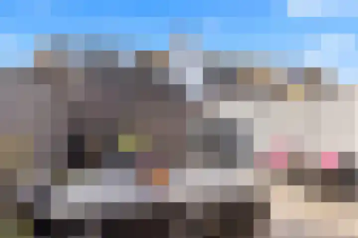Scheldepolder 4 Houten thumbnail 17
