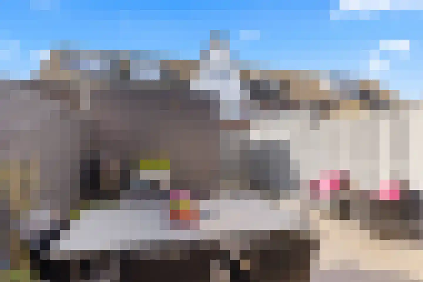 Scheldepolder 4 Houten thumbnail 17
