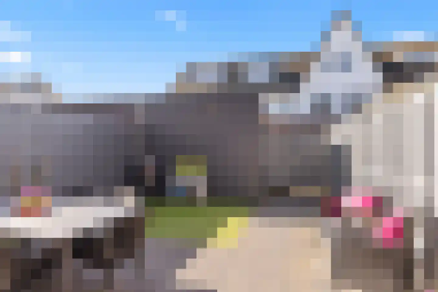 Scheldepolder 4 Houten thumbnail 18