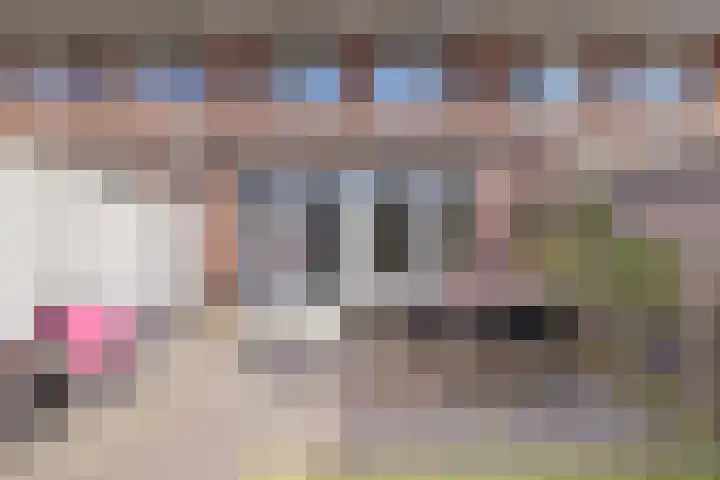 Scheldepolder 4 Houten thumbnail 20