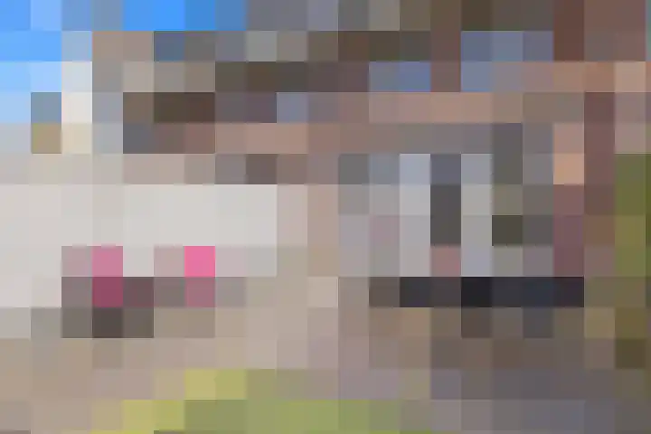Scheldepolder 4 Houten thumbnail 21