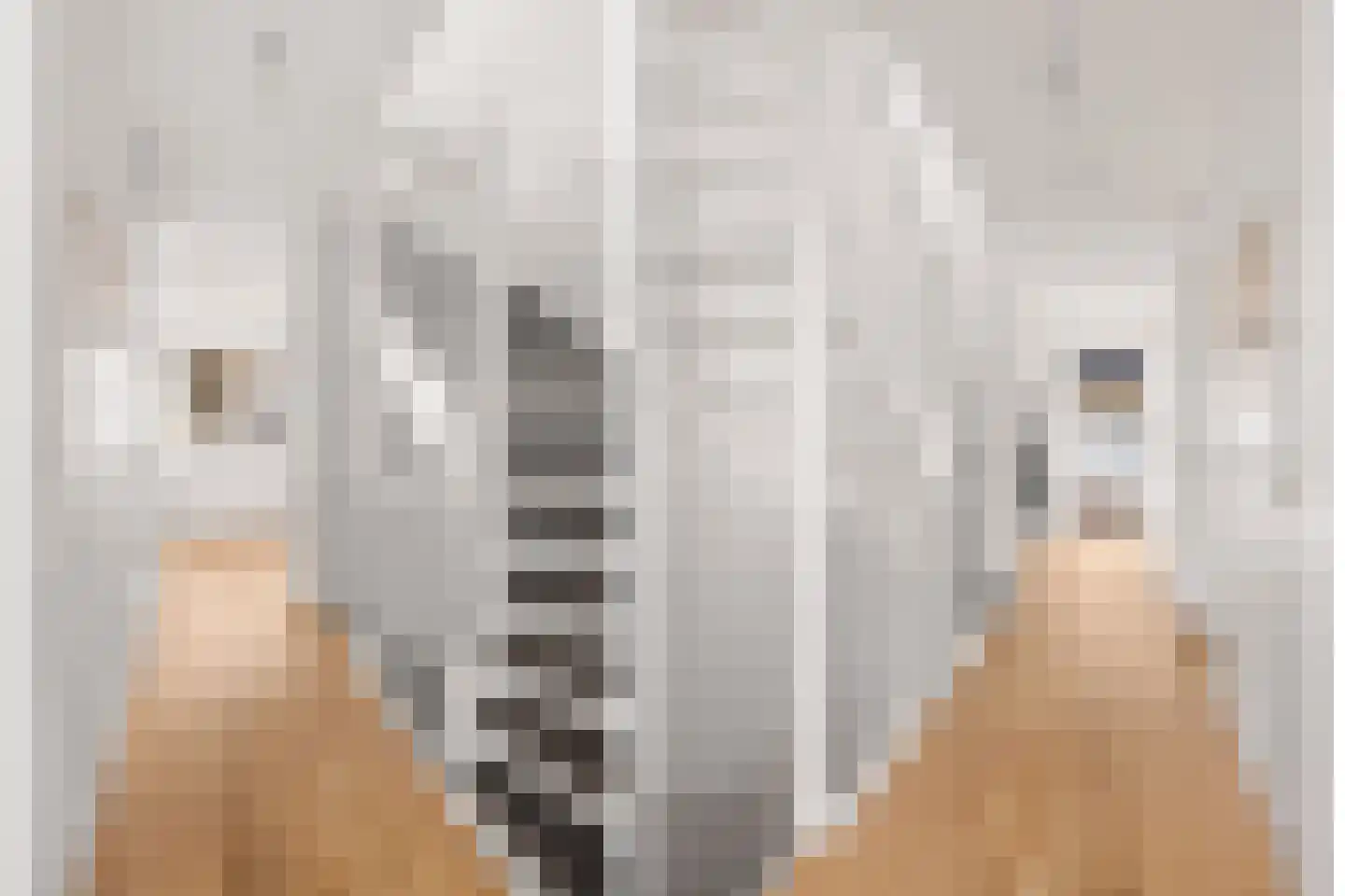 Scheldepolder 4 Houten thumbnail 24