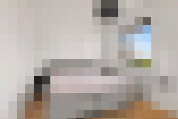Scheldepolder 4 Houten thumbnail 25