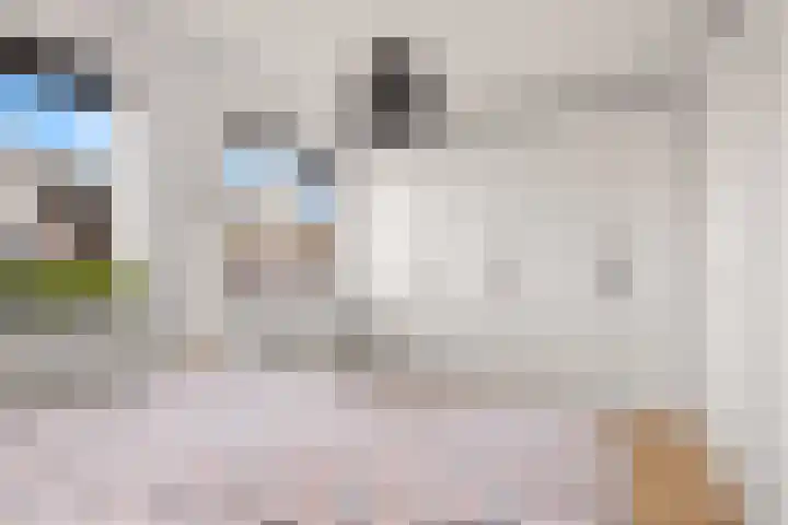 Scheldepolder 4 Houten thumbnail 27