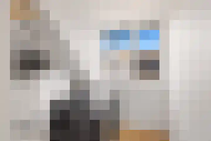 Scheldepolder 4 Houten thumbnail 42