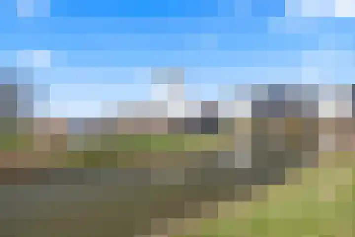 Scheldepolder 4 Houten thumbnail 50