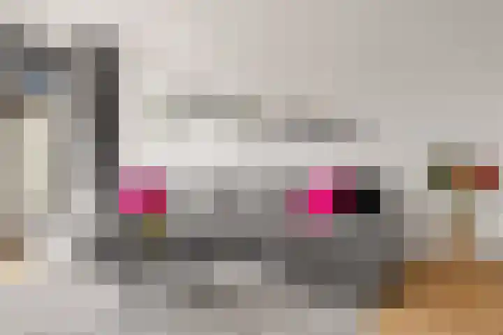 Scheldepolder 4 Houten thumbnail 7