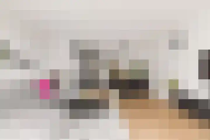 Scheldepolder 4 Houten thumbnail 8