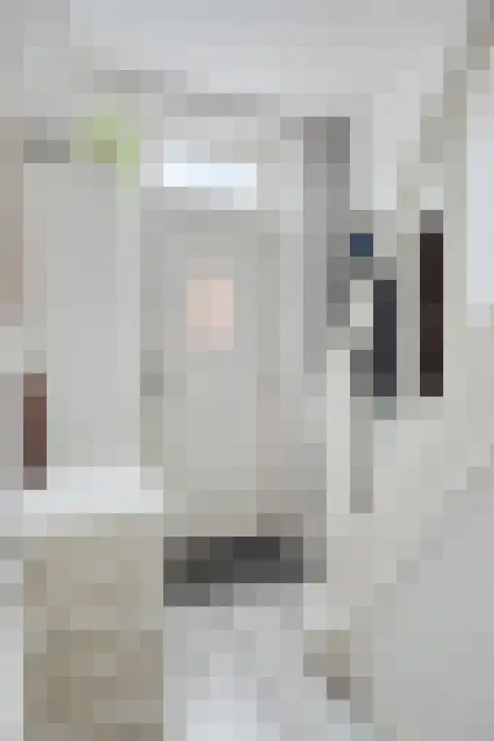 Scheldepoortstraat 13 Nieuw- en Sint Joosland thumbnail 4