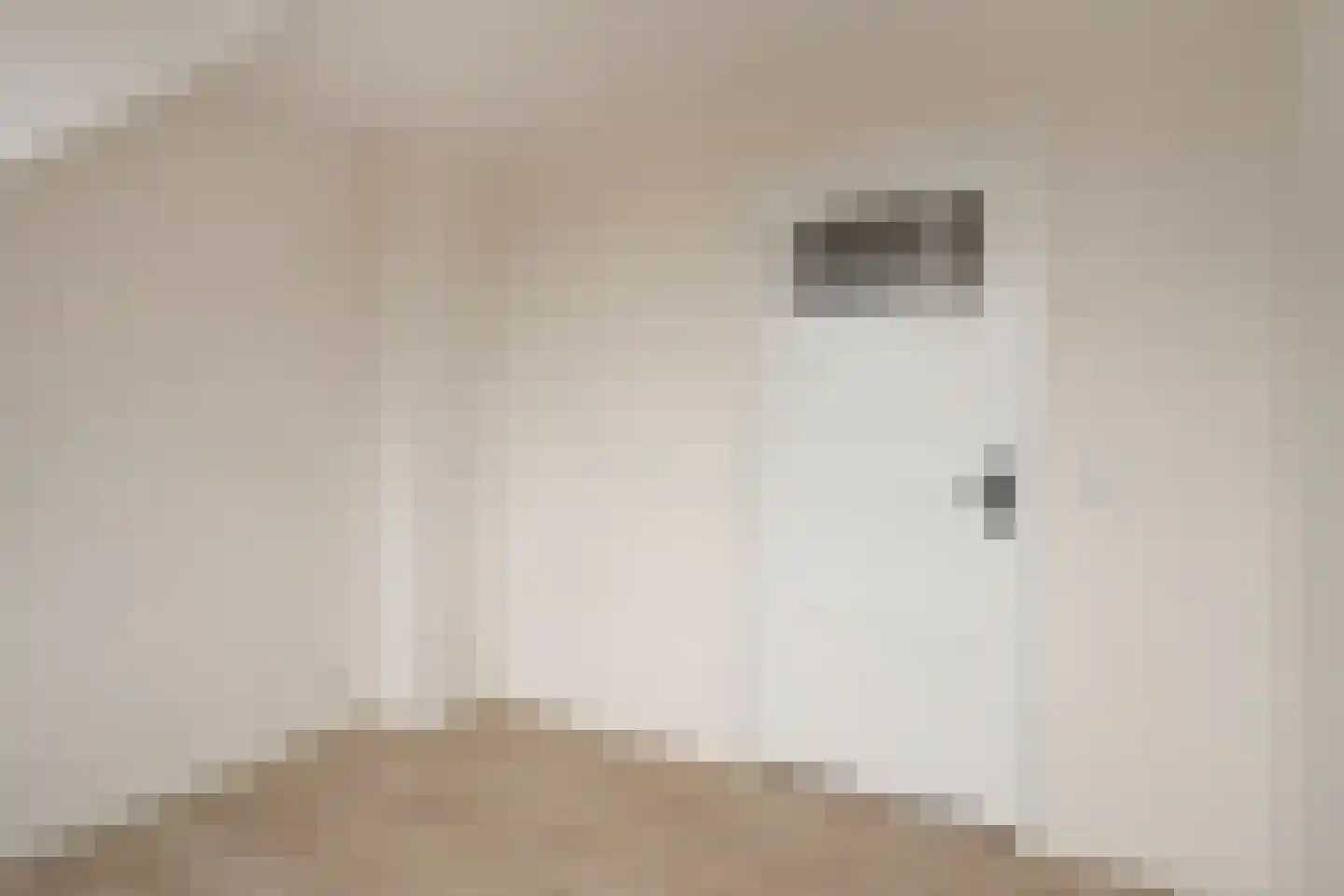 Scheldepoortstraat 17 Nieuw- en Sint Joosland thumbnail 19