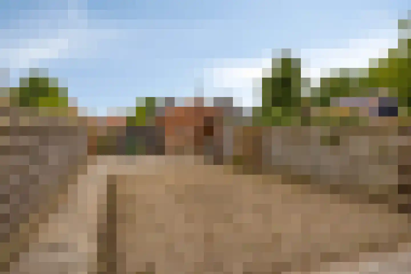 Scheldepoortstraat 17 Nieuw- en Sint Joosland thumbnail 24