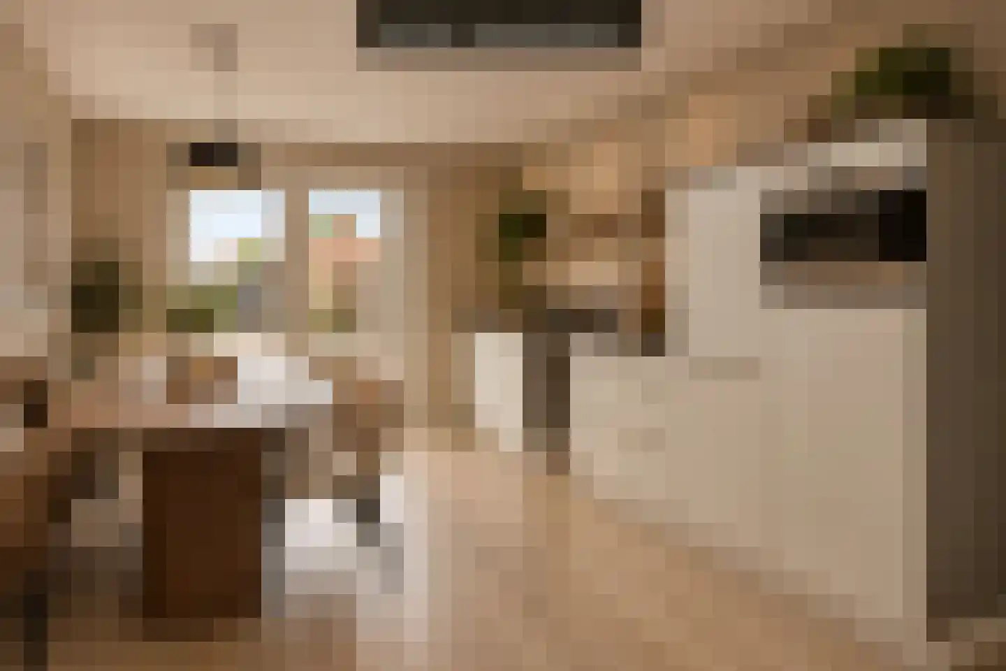 Scheldepoortstraat 17 Nieuw- en Sint Joosland thumbnail 8