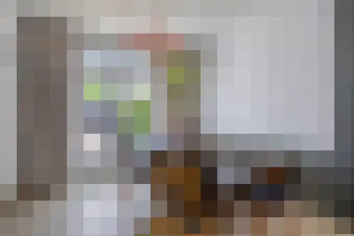 Scheldestraat 100 Goes thumbnail 5