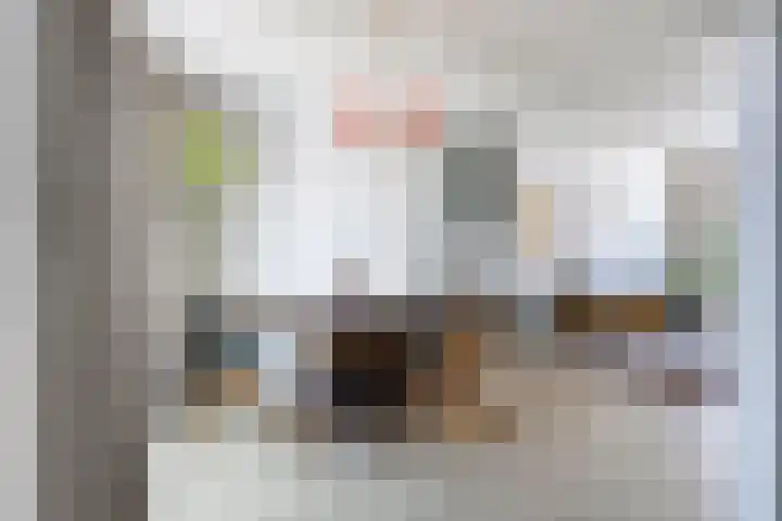 Scheldestraat 100 Goes thumbnail 6