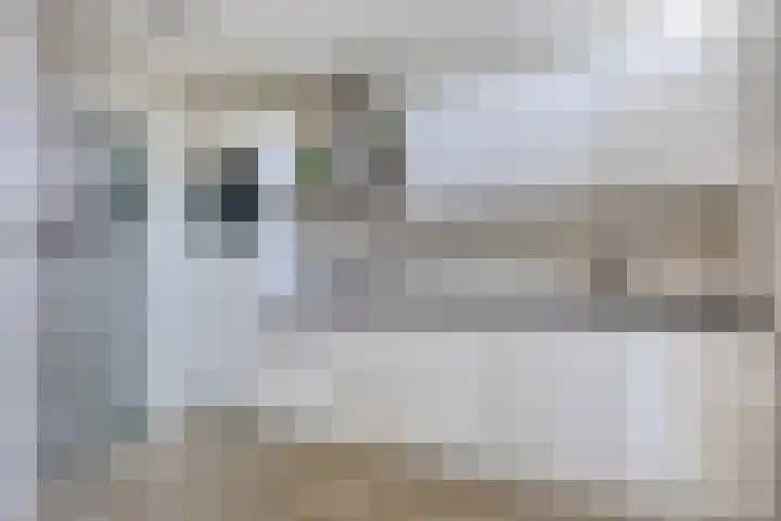 Scheldestraat 100 Goes thumbnail 7