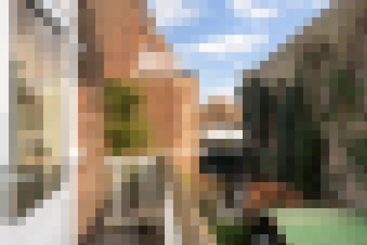 Scheldestraat 103 Den Haag thumbnail 19