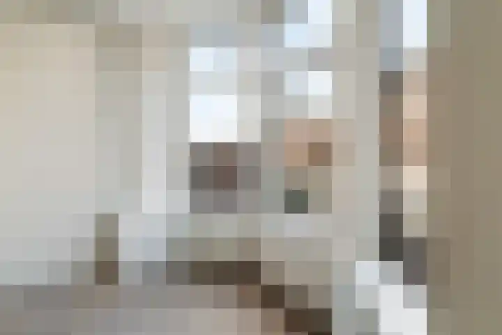 Scheldestraat 103 Den Haag thumbnail 4