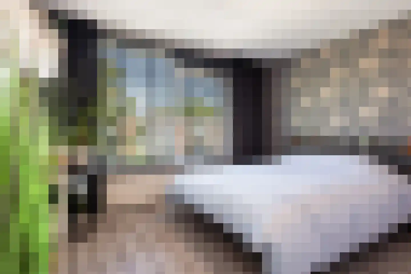 Scheldestraat 11 Apeldoorn thumbnail 5